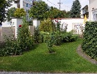 Tiszta Virágos Hajdúszoboszlóért 2010 kategória indexképe